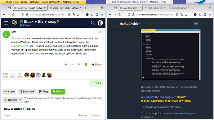 WindowTailorSnapToSide