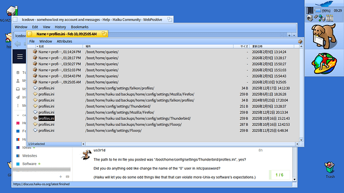 another profiles ini