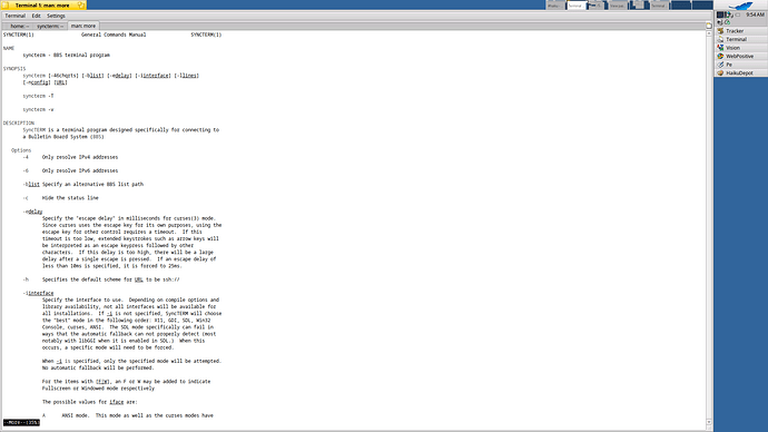 syncterm_man