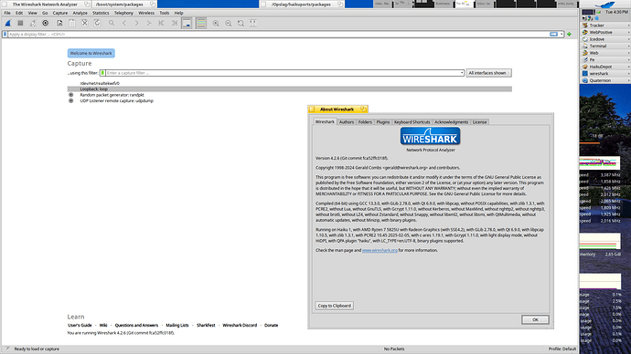 WireShark-4.2.6