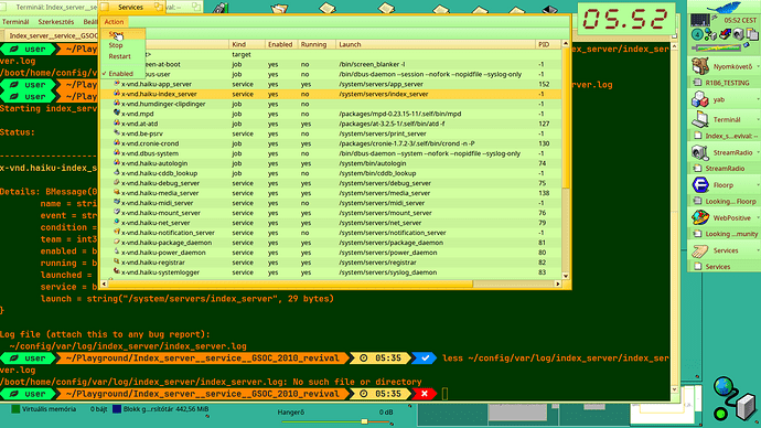02__Start_index_service_by_X512's_Servicesutility_FAILED