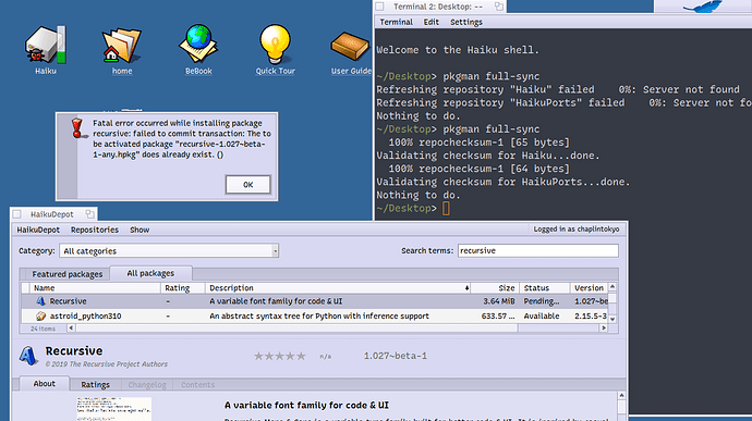 fatal error in haikudepot