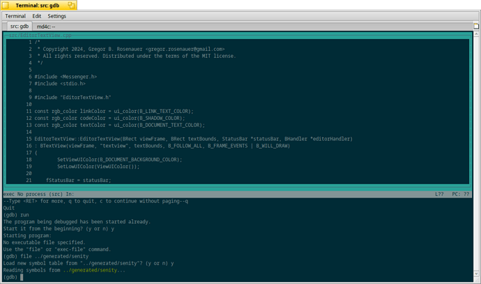 senity-debug-gdb