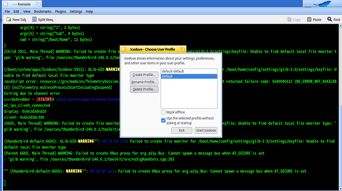 running icedove -p option