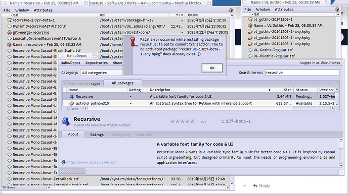 fonts not recognised2