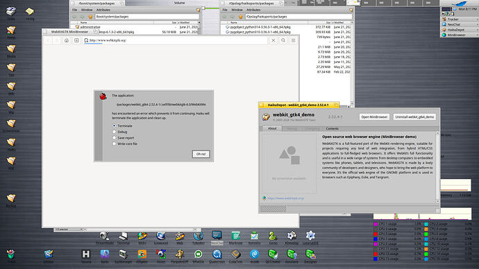 webbkit_gtk4-2.52.4