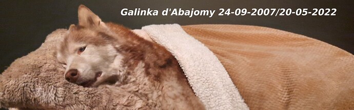 Galinka-20-05-2022