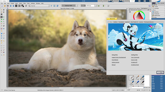 Krita-5.3.4