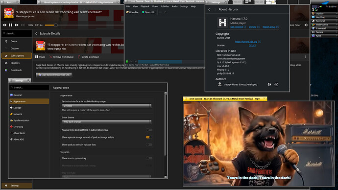 Qt6.10.3_multimedia