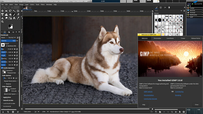 GIMP-3.0.6