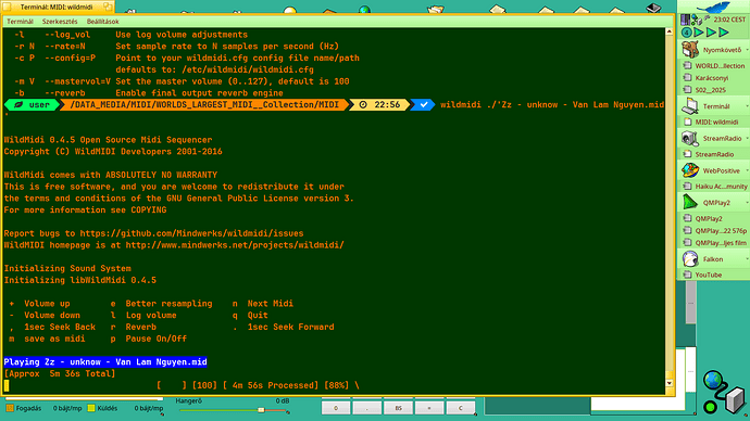 Playing_MIDI