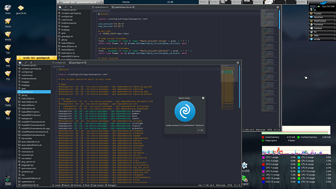 Ecode_multiple_window