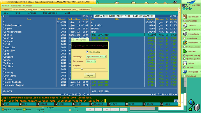 Playing_MIDI_#2__mc_plus__MIDI_Player