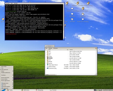 VirtualBox_HaikuOS_28_06_2025_13_01_39