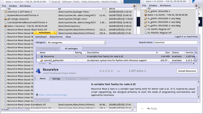 fonts not recognised