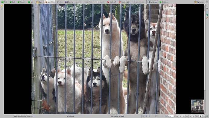 Digikam_showFoto-9.0.0