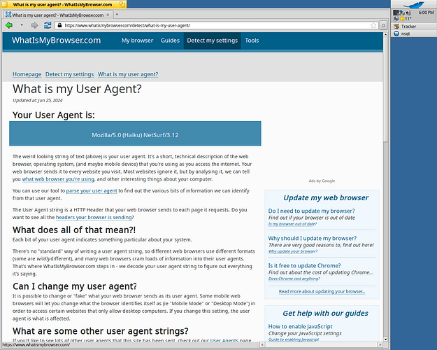 NetSurf-Qt6