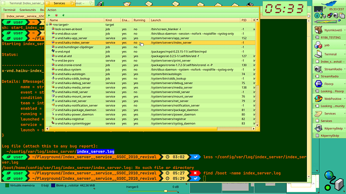01_index_server_status_INSTALLED_but_NOT_LAUNCHED
