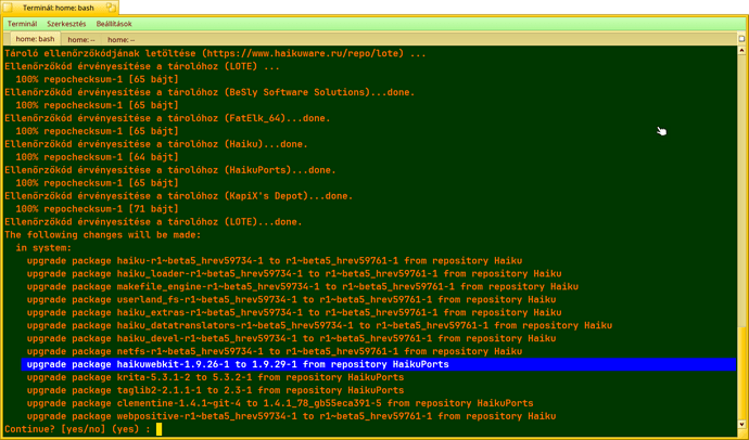 HaikuWebKit__1.9.27-29