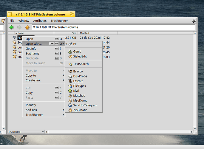 screenshot2