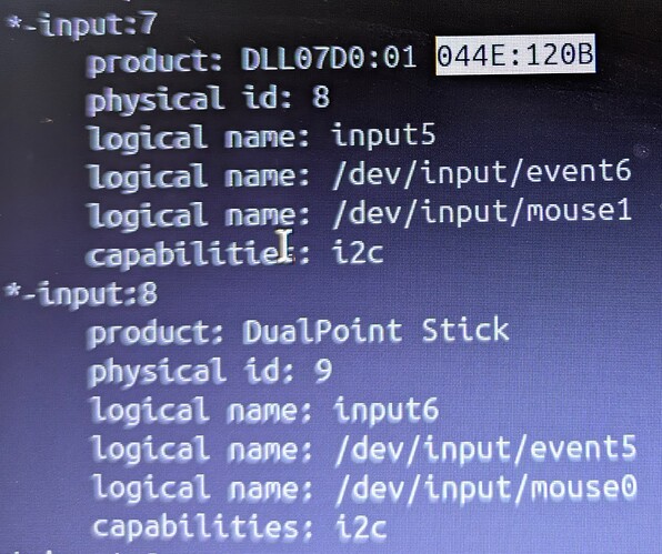PXL_20250701_215823525