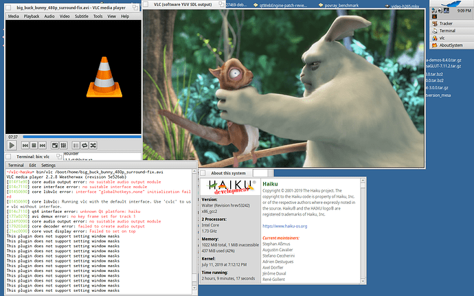 vlc-test2