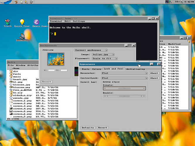 screenshot12
