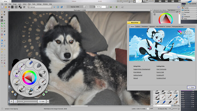 Krita-5.3.0