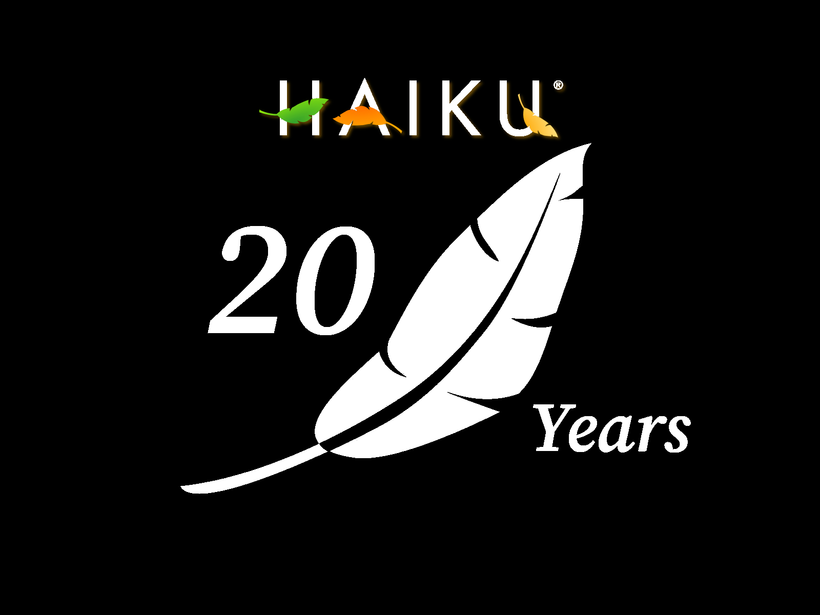 haiku20-for-black-tshirt